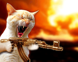 yah yyyyyyyyyyyyyyyyyyyyyyaaaaaaaaaaaaaaaaaaaahhhhhhhhhh