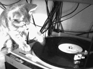 dj-chat