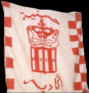 vive husa